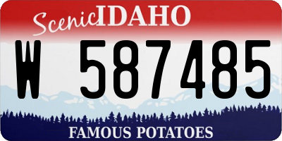ID license plate W587485