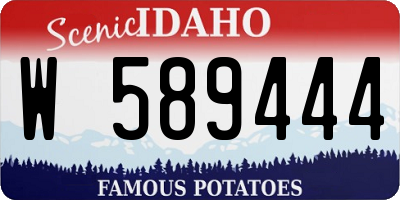 ID license plate W589444