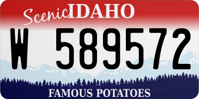 ID license plate W589572