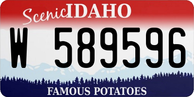 ID license plate W589596