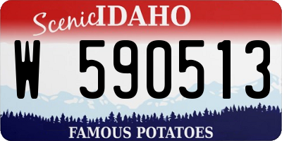 ID license plate W590513