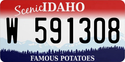 ID license plate W591308