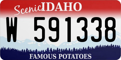 ID license plate W591338