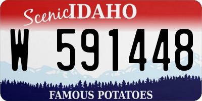 ID license plate W591448