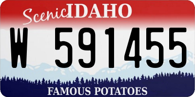 ID license plate W591455