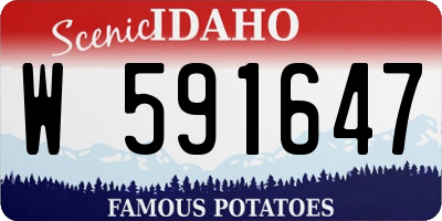 ID license plate W591647