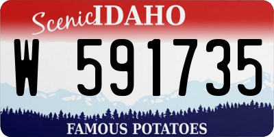 ID license plate W591735