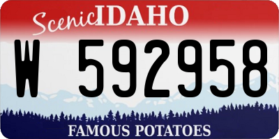 ID license plate W592958