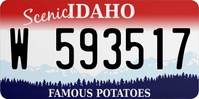 ID license plate W593517