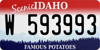 ID license plate W593993