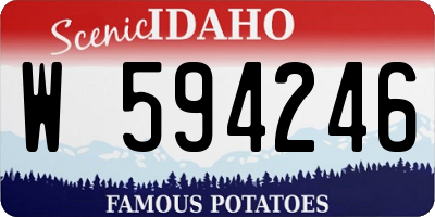 ID license plate W594246