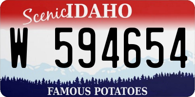 ID license plate W594654