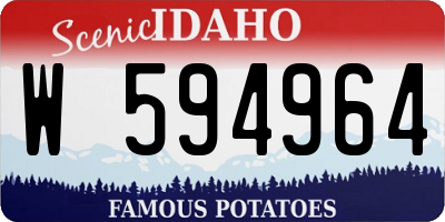 ID license plate W594964