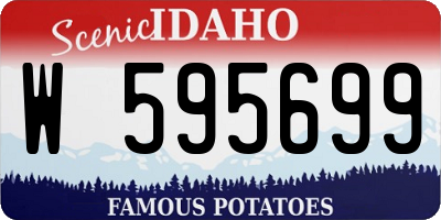 ID license plate W595699