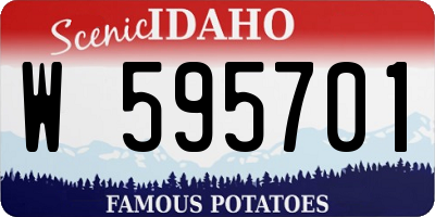 ID license plate W595701