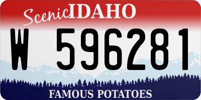 ID license plate W596281