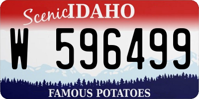 ID license plate W596499