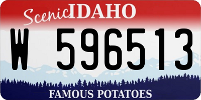 ID license plate W596513