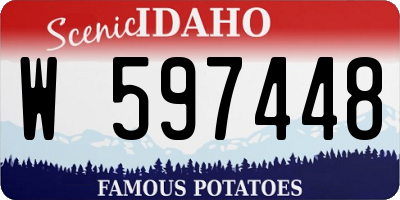ID license plate W597448