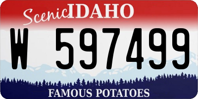 ID license plate W597499
