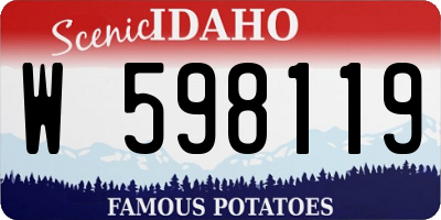 ID license plate W598119