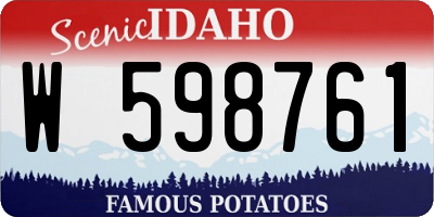 ID license plate W598761