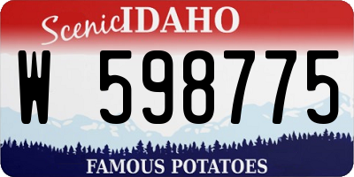 ID license plate W598775