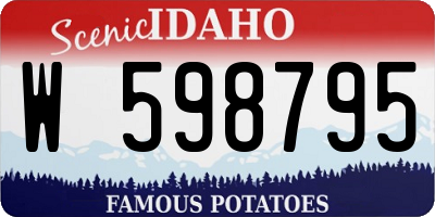 ID license plate W598795