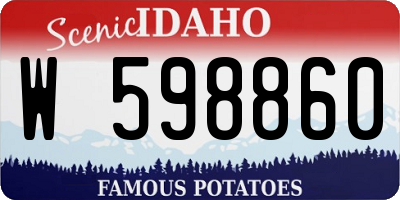 ID license plate W598860