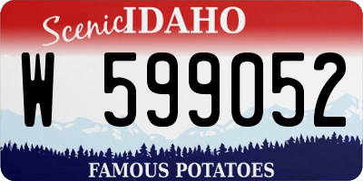 ID license plate W599052