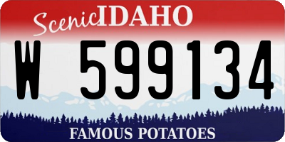 ID license plate W599134
