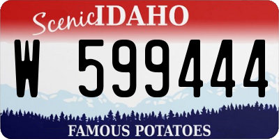 ID license plate W599444