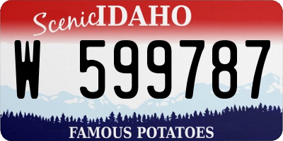 ID license plate W599787