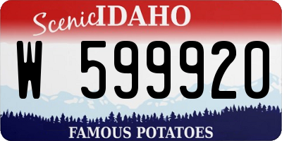 ID license plate W599920