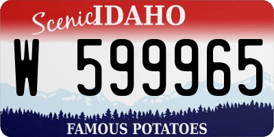 ID license plate W599965