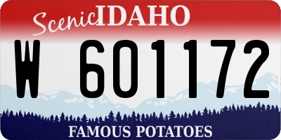ID license plate W601172