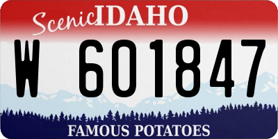 ID license plate W601847