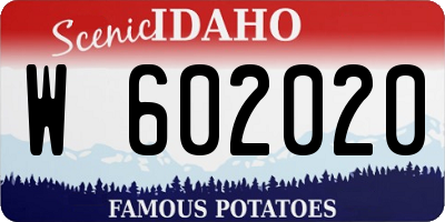ID license plate W602020