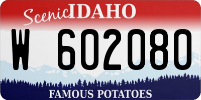 ID license plate W602080