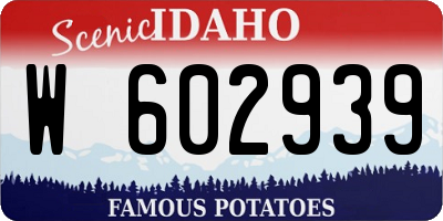 ID license plate W602939