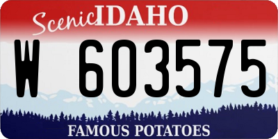 ID license plate W603575