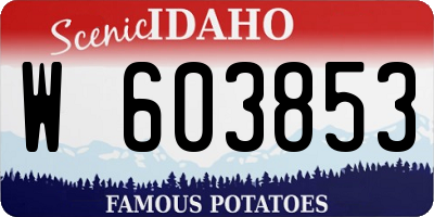 ID license plate W603853