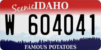 ID license plate W604041