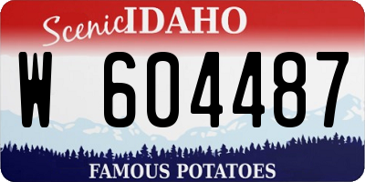 ID license plate W604487