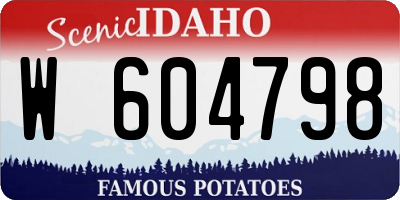 ID license plate W604798