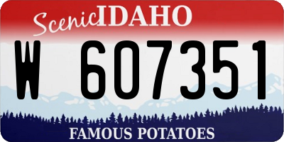 ID license plate W607351