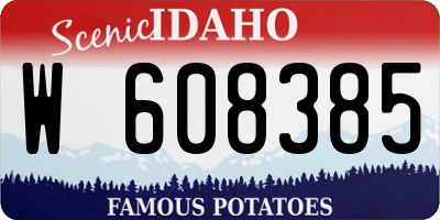 ID license plate W608385