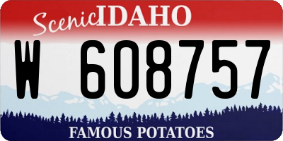 ID license plate W608757
