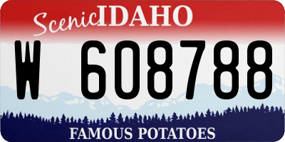 ID license plate W608788