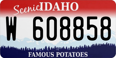 ID license plate W608858